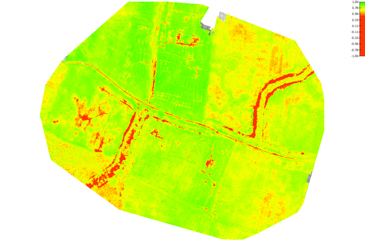 Normalized Difference Vegetation Index (NDVI) Map