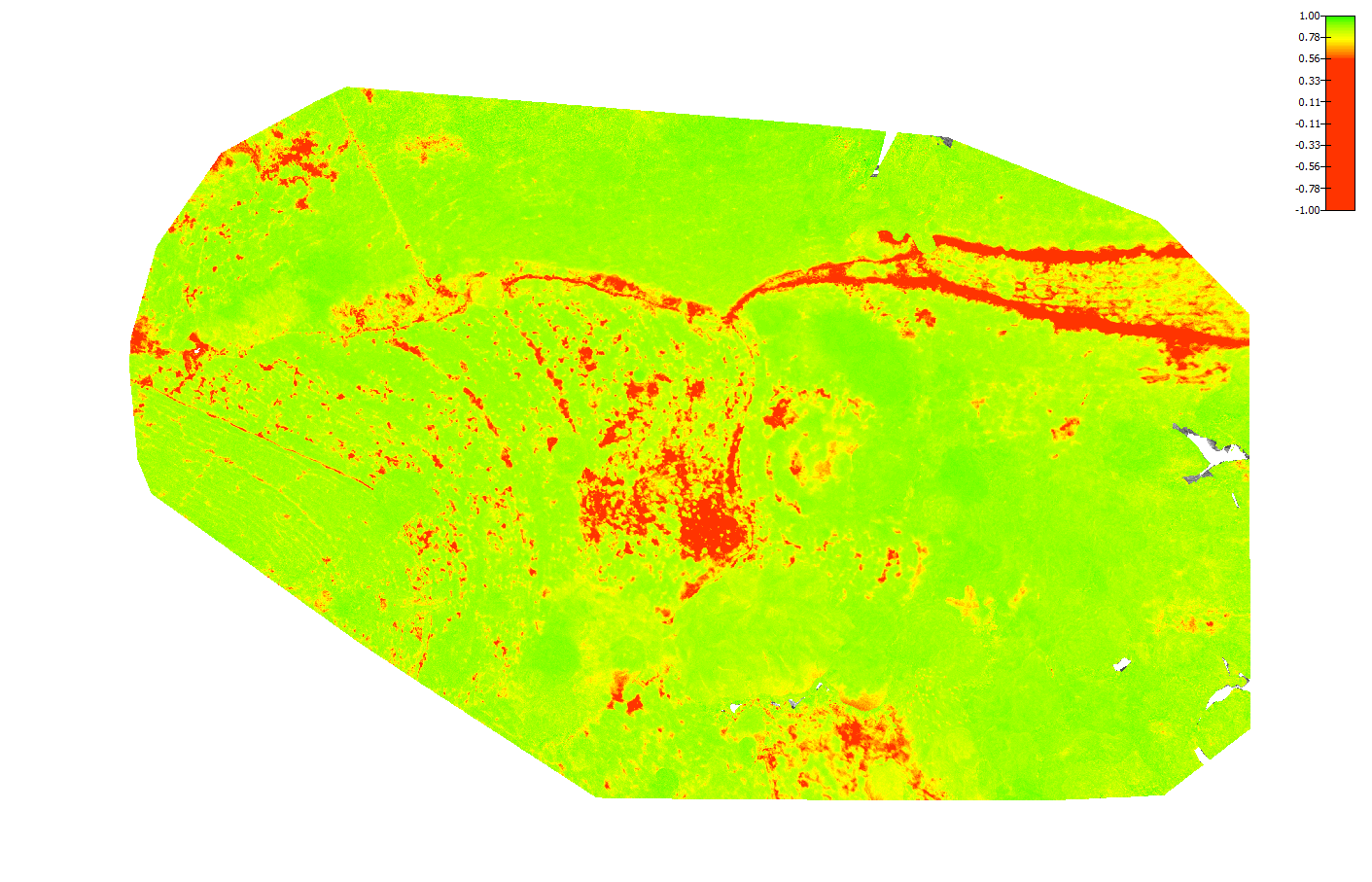 Normalized Difference Vegetation Index (NDVI)