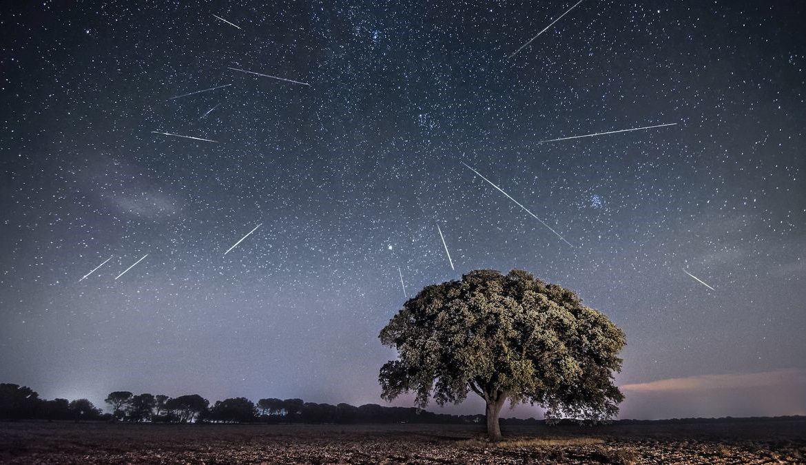 WhatsApp Image 2024-08-11 at 12.57.03_9f16d99a