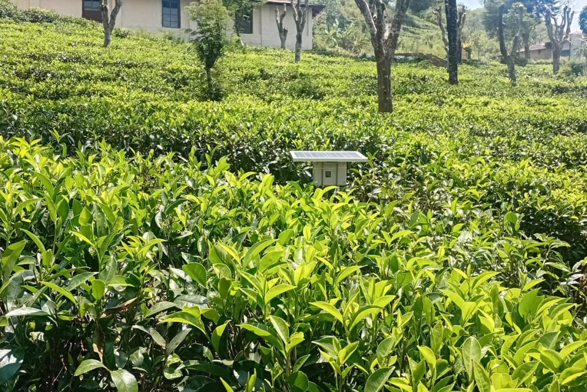 Maskeliya soil probe